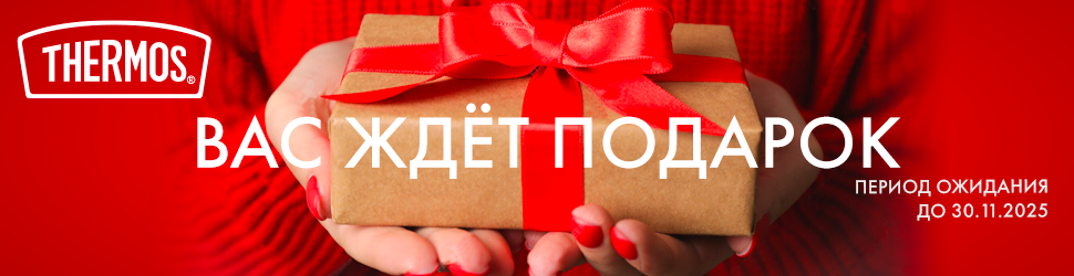 Подарок за покупку купить в Москве, цена в интернет-магазине THERMOS
